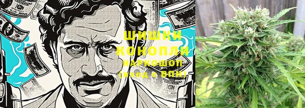 тгк Кукмор