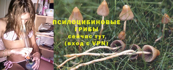 тгк Кукмор