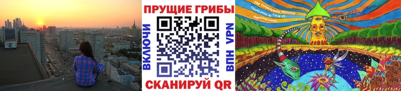 Псилоцибиновые грибы Psilocybe  MEGA ссылка  Микунь  закладки 